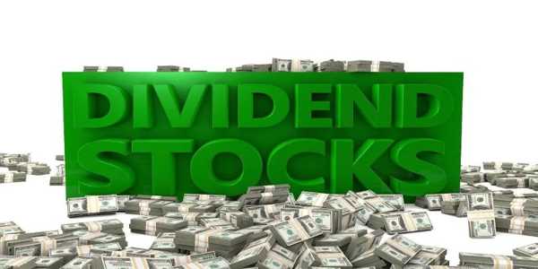 Which Dividend Stocks Provide Steady Income For Beginners?